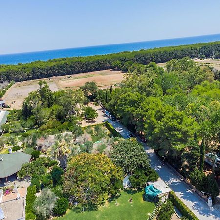 Bio Agriturismo Salos Alimini Dış mekan fotoğraf