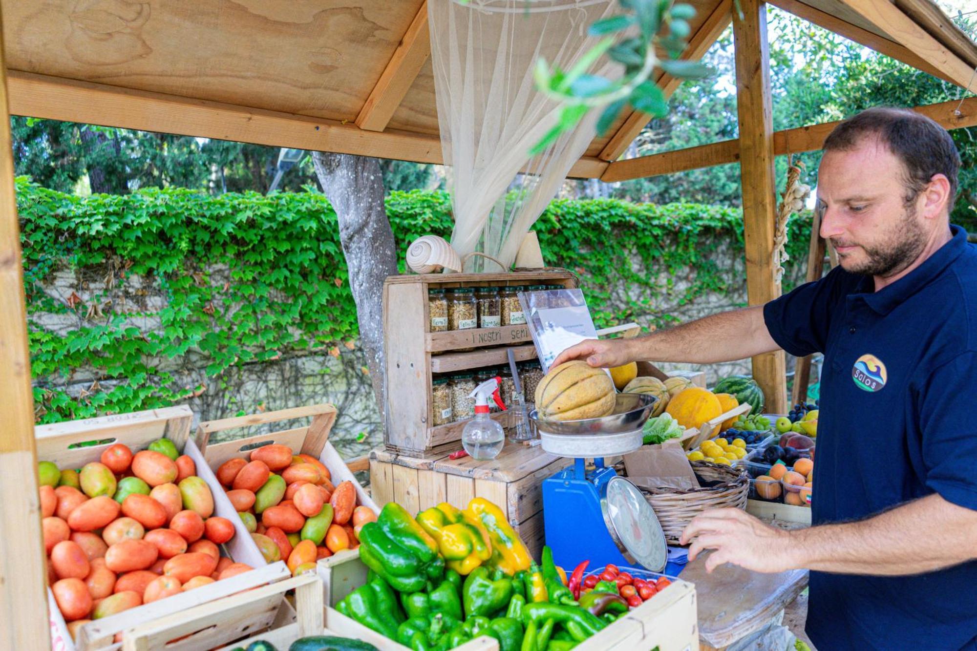 Bio Agriturismo Salos Alimini Dış mekan fotoğraf