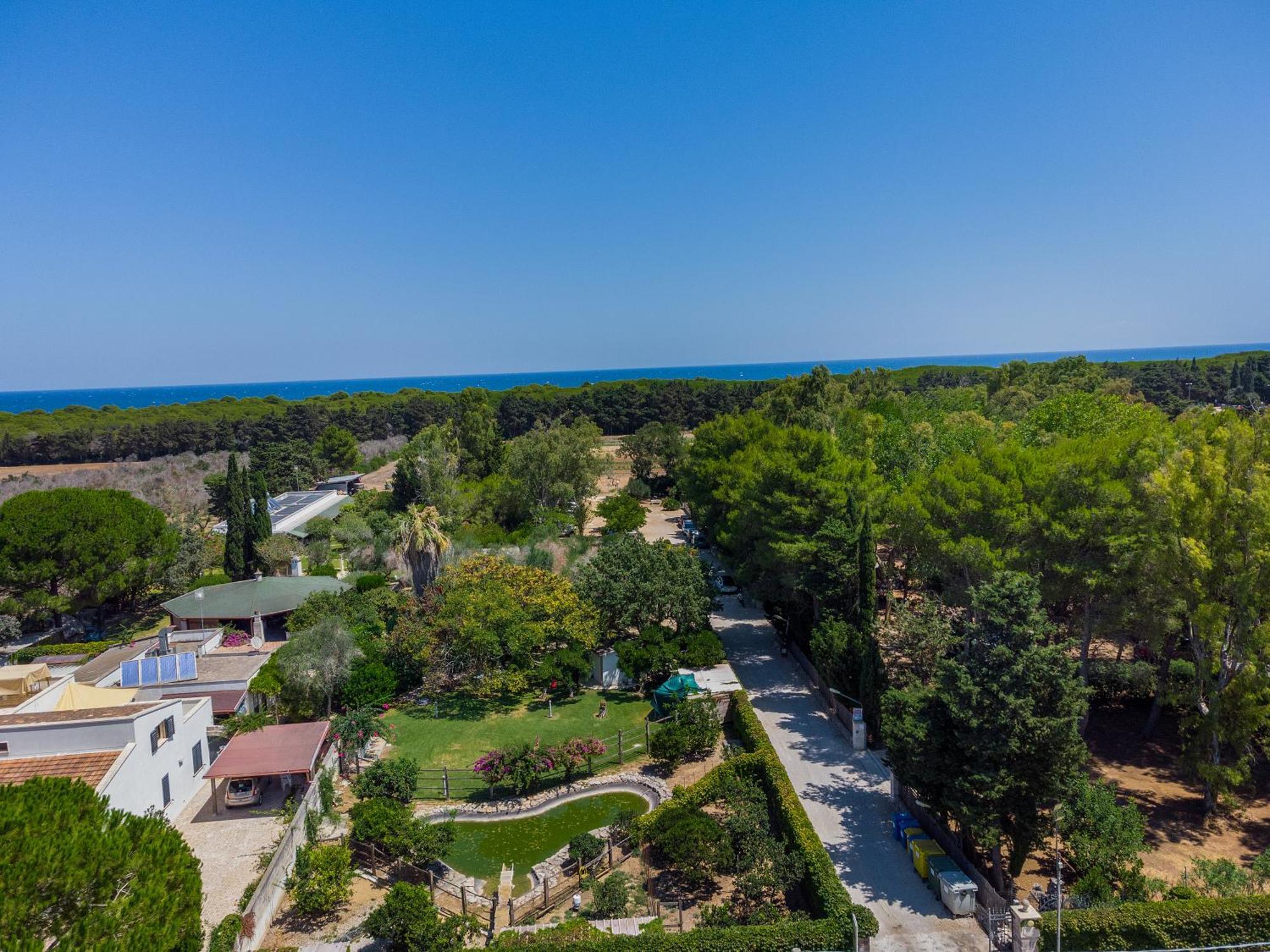 Bio Agriturismo Salos Alimini Dış mekan fotoğraf