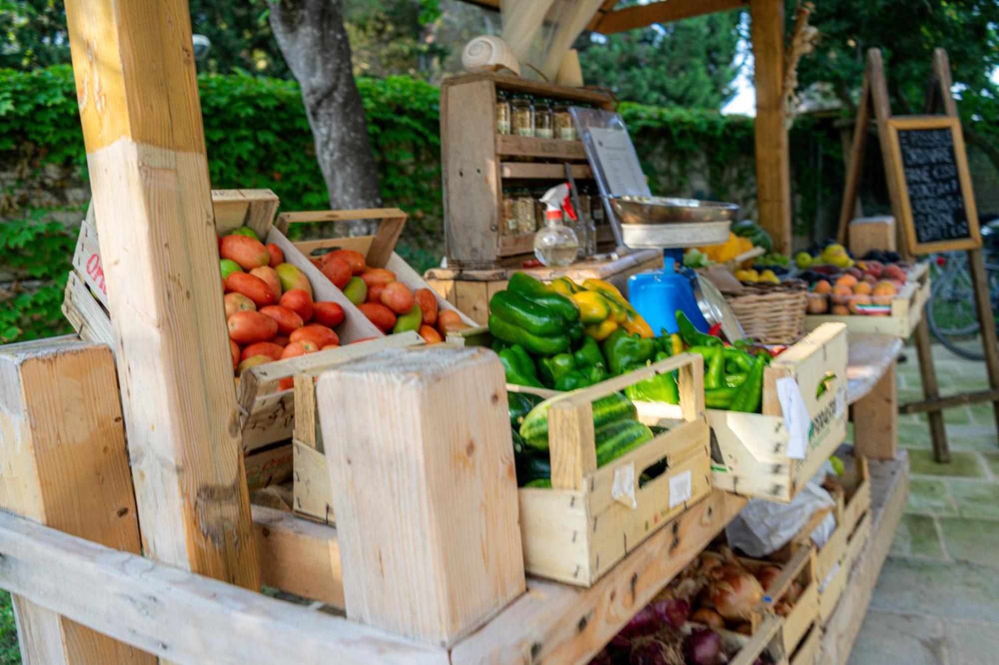 Bio Agriturismo Salos Alimini Dış mekan fotoğraf