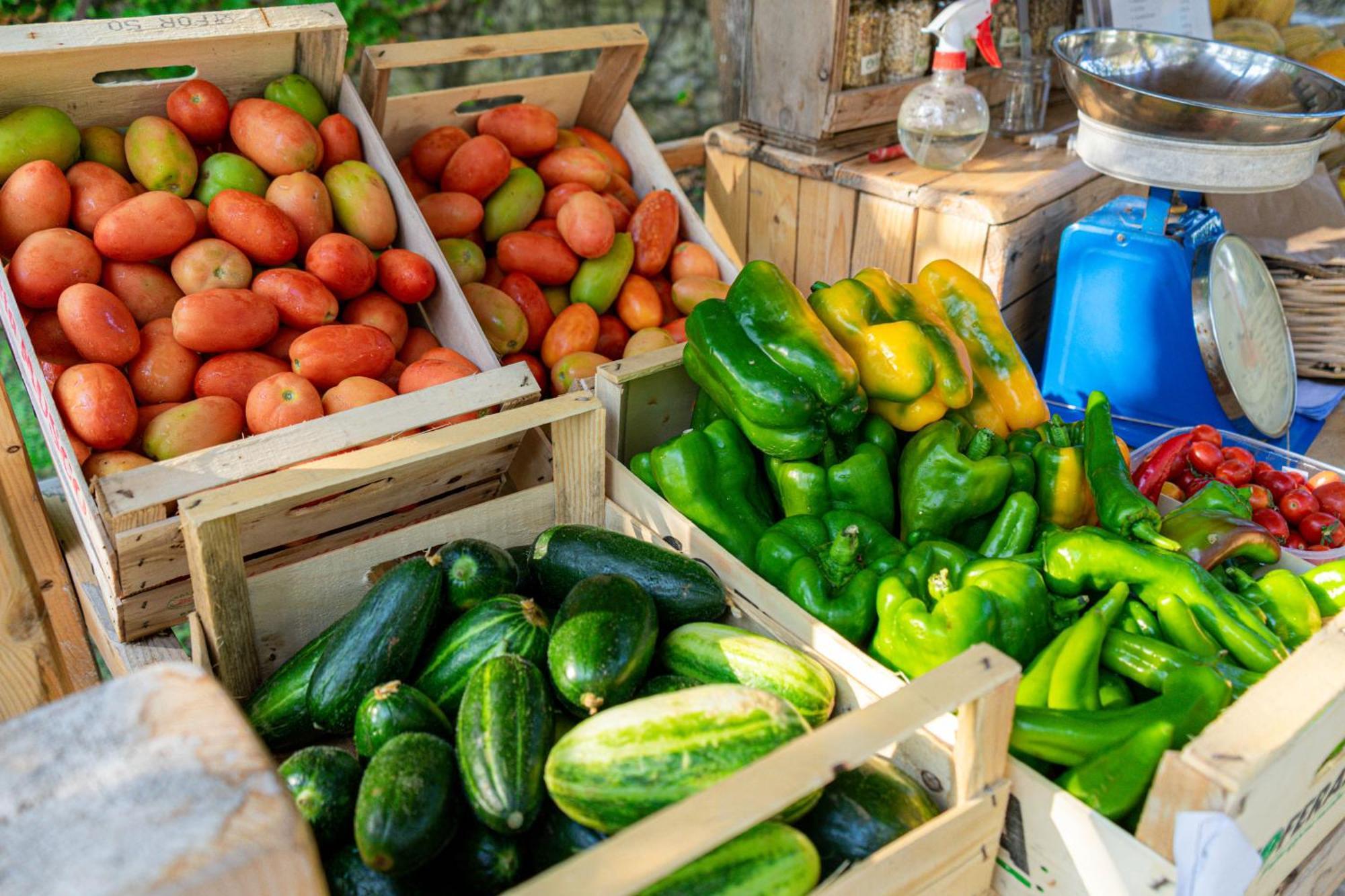 Bio Agriturismo Salos Alimini Dış mekan fotoğraf