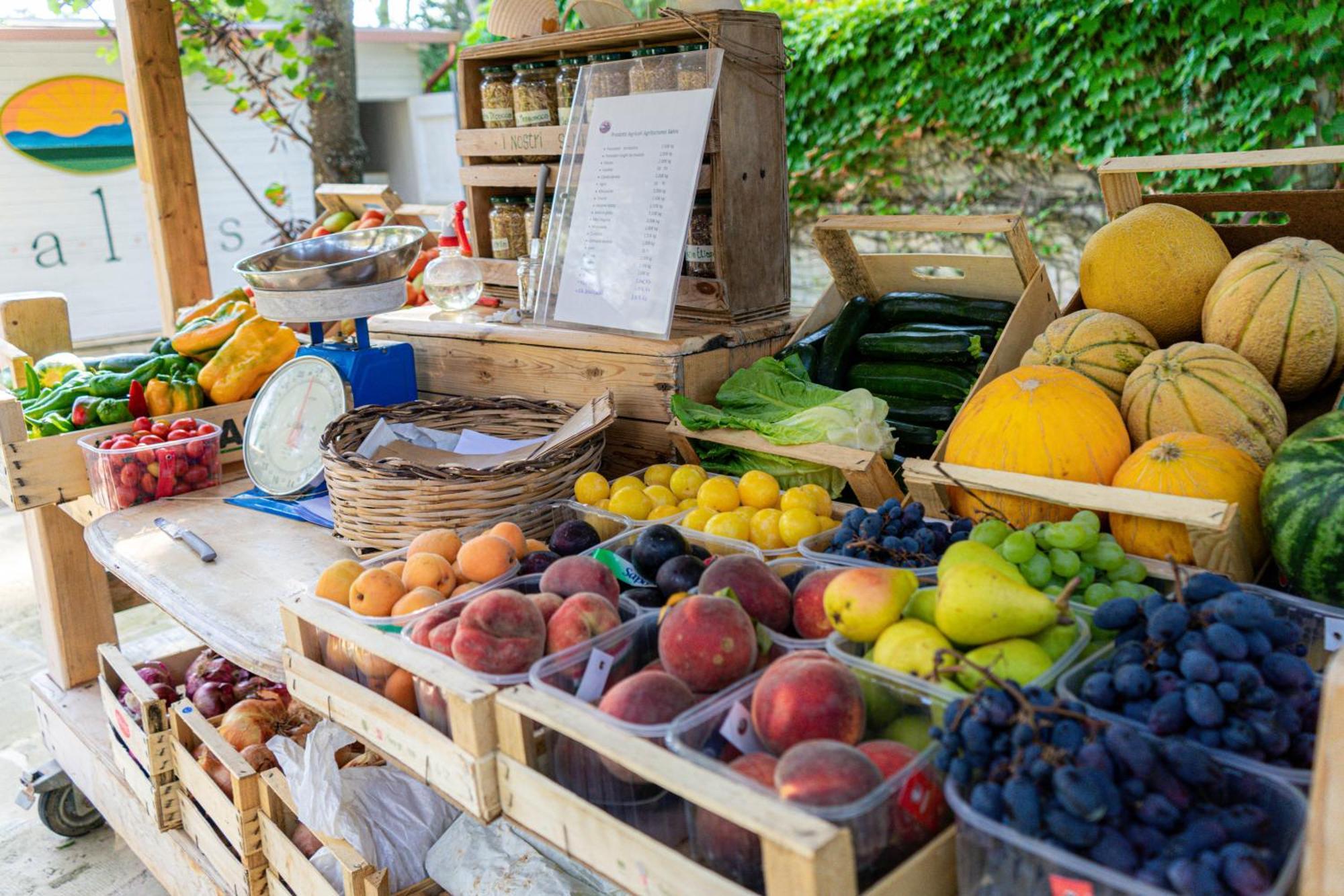 Bio Agriturismo Salos Alimini Dış mekan fotoğraf
