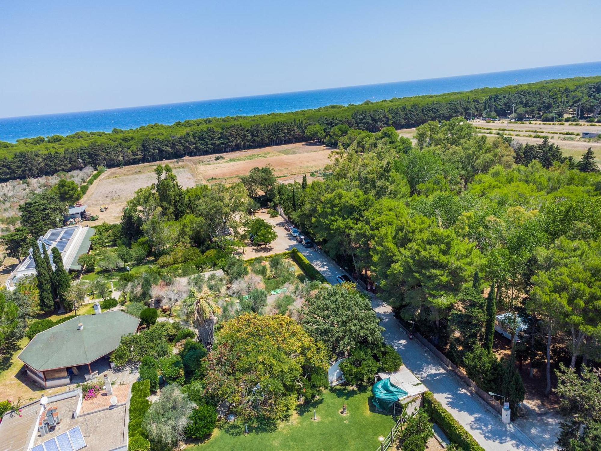 Bio Agriturismo Salos Alimini Dış mekan fotoğraf